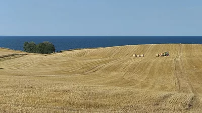danish_ag.jpg