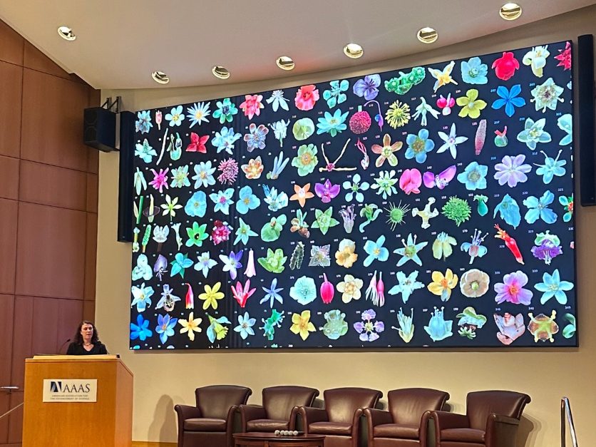 AAAS lecture warns of declining pollinator populations | Agri-Pulse ...