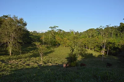 nicaragua1.jpg