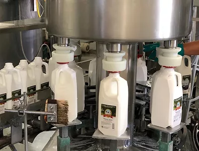 Hickory Hill milk HH photo.jpeg