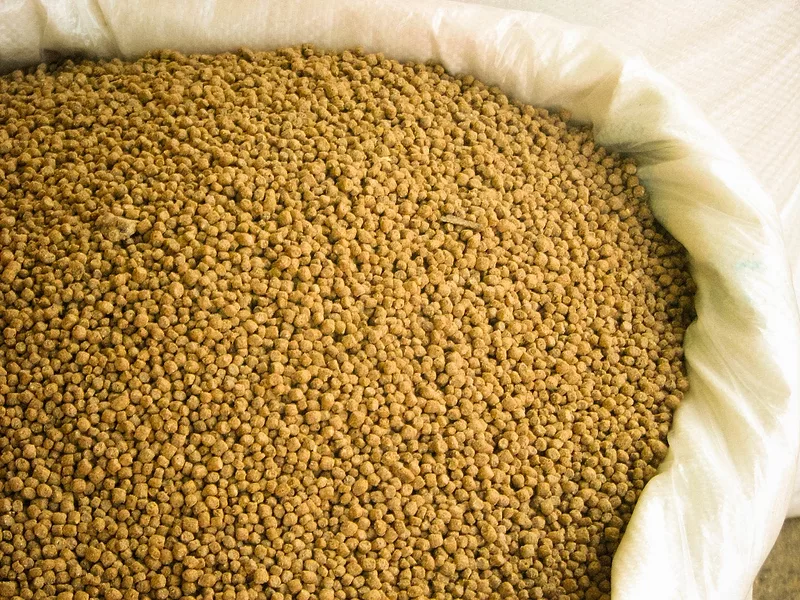 animal-feeds.jpg
