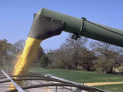 Corn harvest USDA photo.jpeg