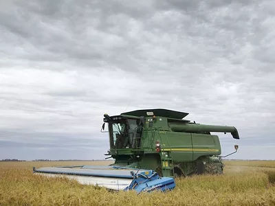 arkansas-rice-prevent-plant-AP.jpg