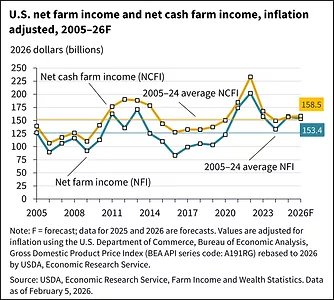 net-income-2026-feb.png