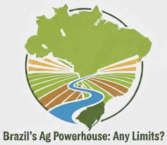 Brazil-series-logo-Google-Feb2026 (1).jpeg
