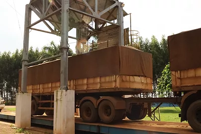 BRAZIL-TRUCKS-SOYBEANS-AGRI-PULSE-PHOTO-FEB-2026.JPG