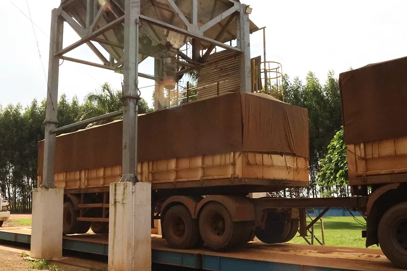 BRAZIL-TRUCKS-SOYBEANS-AGRI-PULSE-PHOTO-FEB-2026.JPG