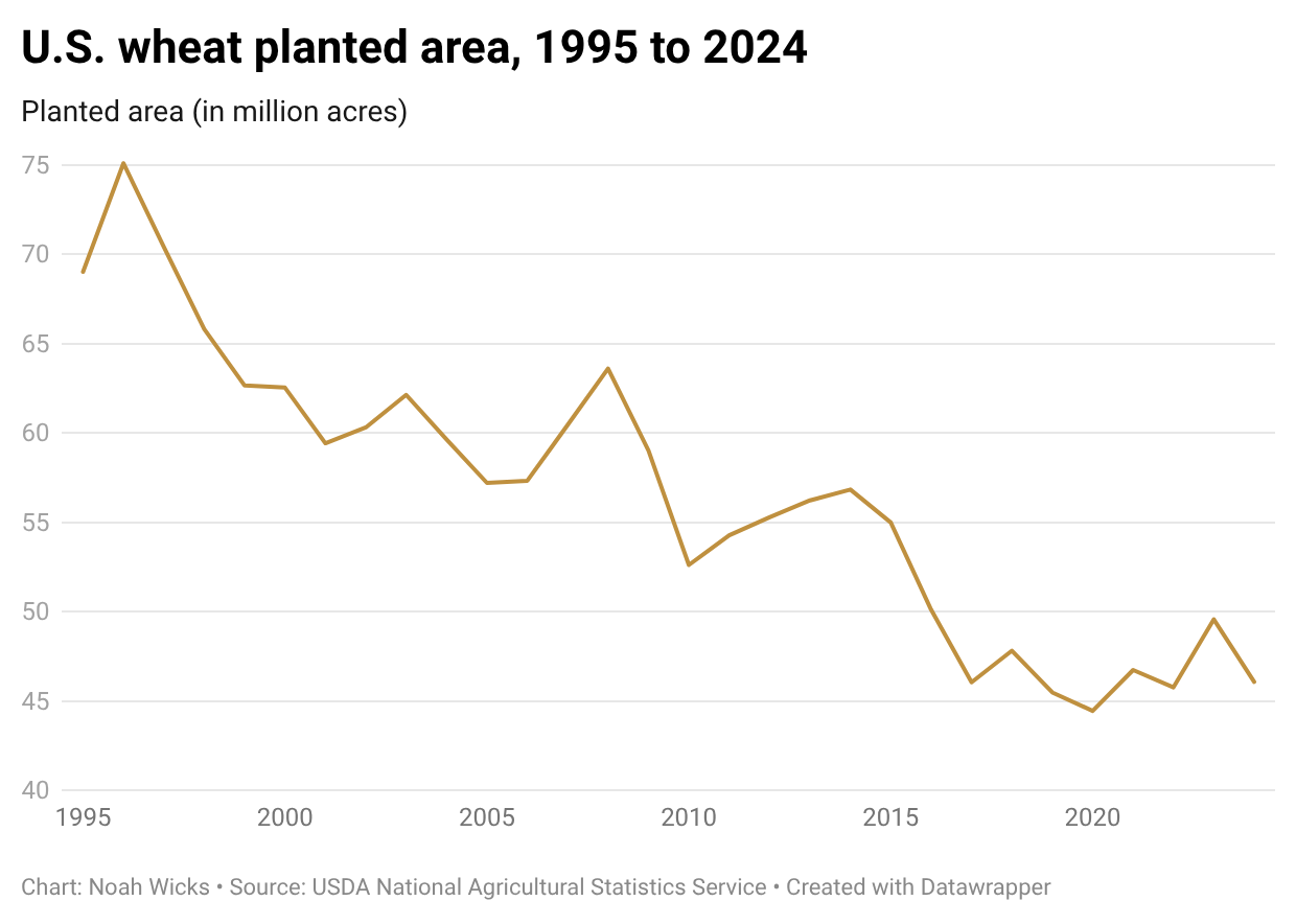 Ki2Lq-u.s.-wheat-planted-area-1995-to-2024- (2).png
