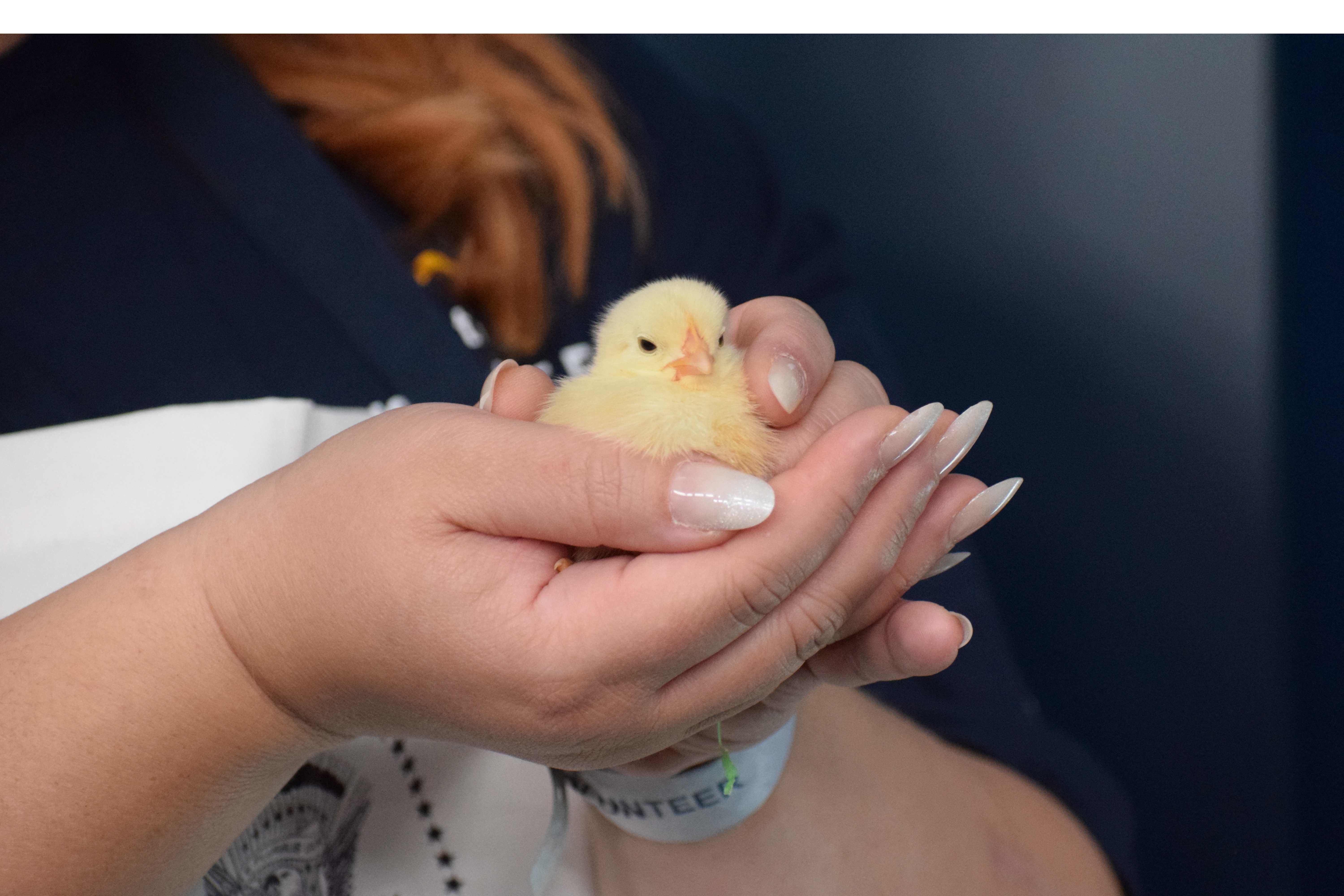 Chick in the White House briefing room WHEER 2026.jpg