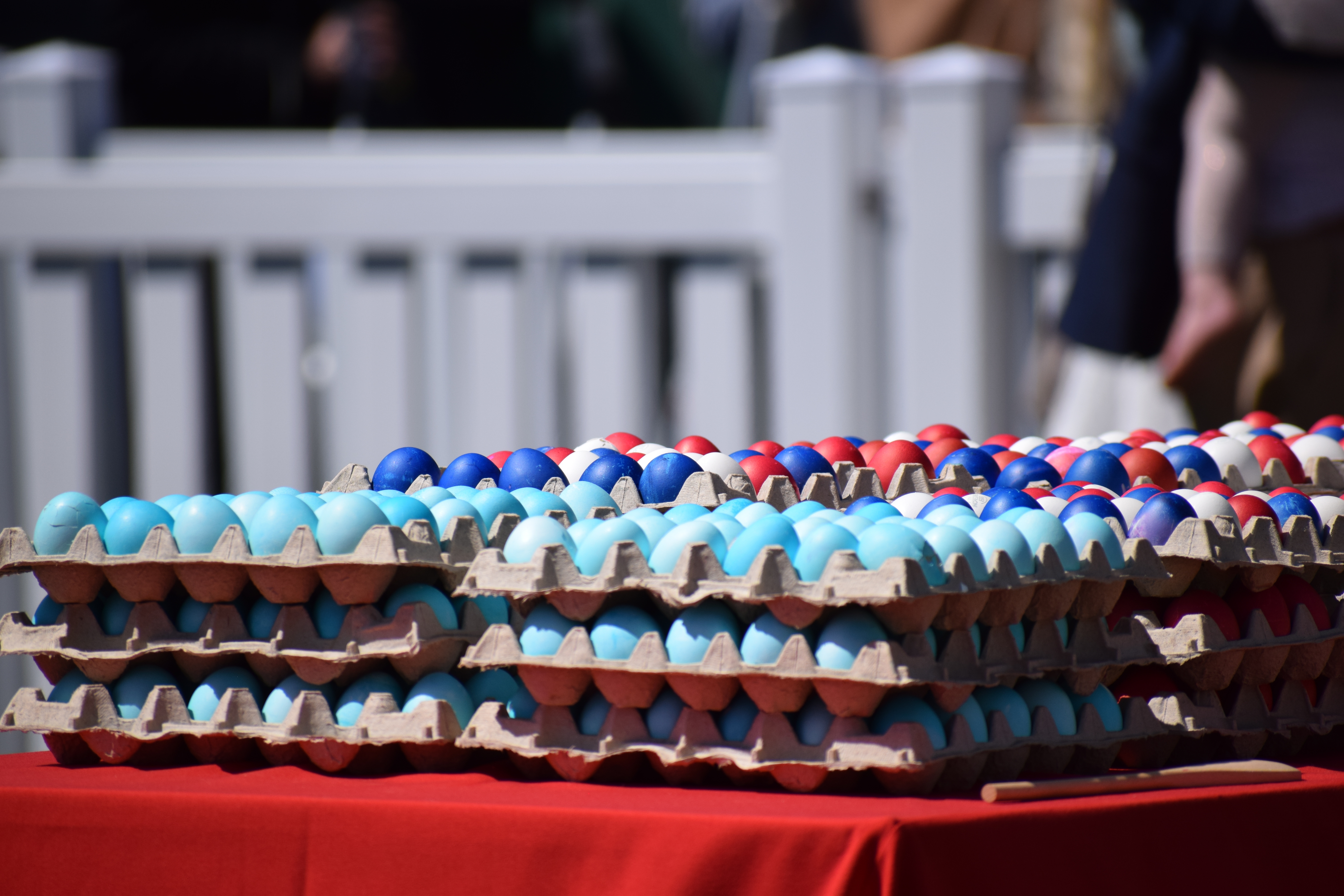 Eggs WHEER 2026.jpg