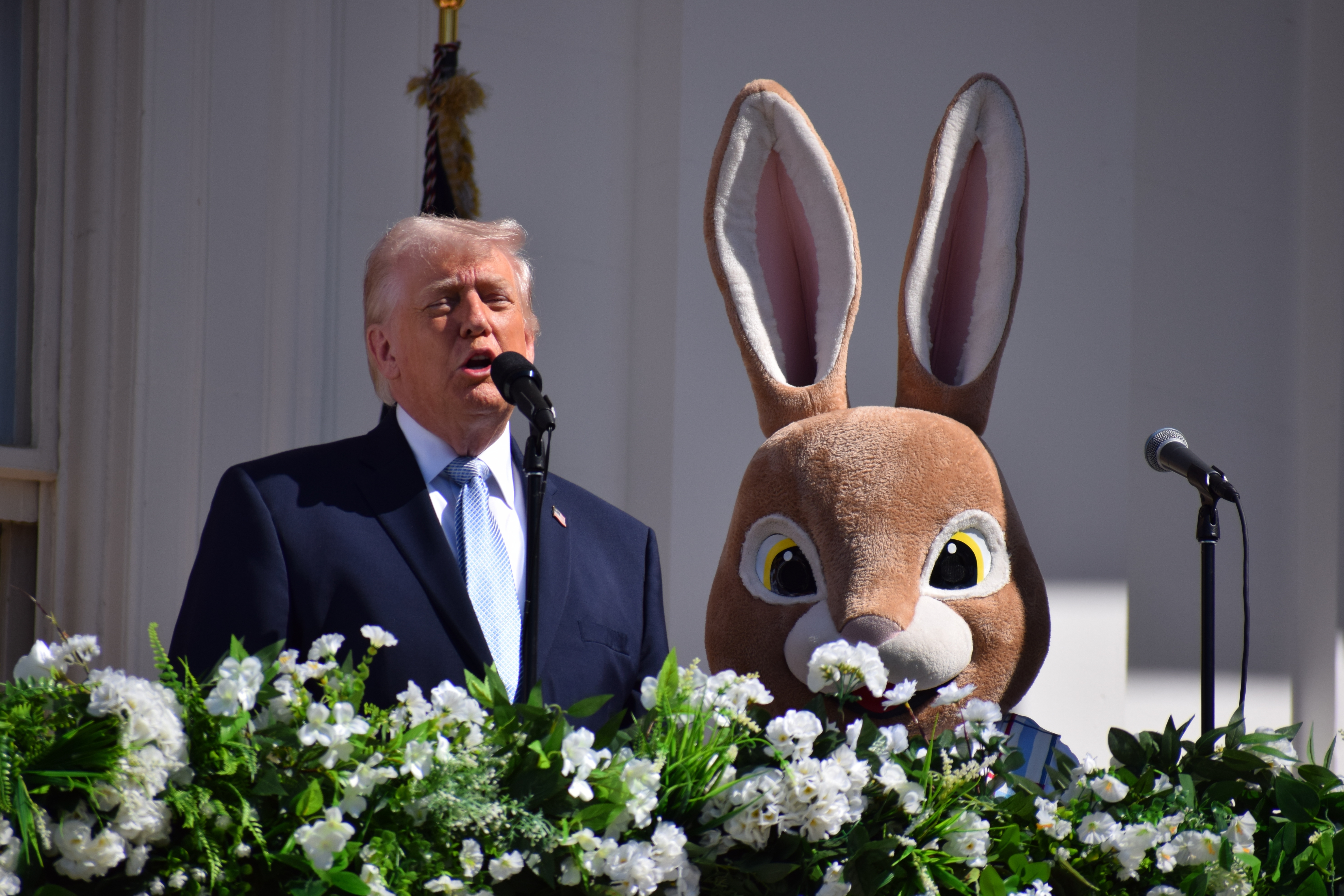 Trump and Easter Bunny 2026.jpg