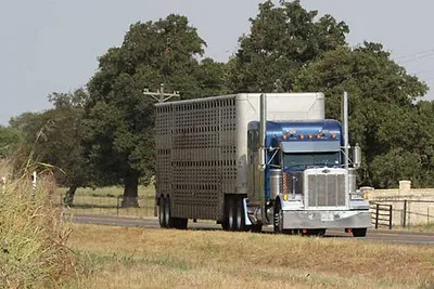 hauling-livestock.jpg