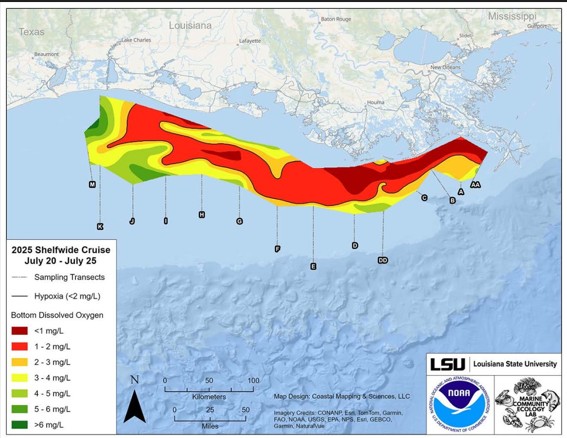 lsu.jpg