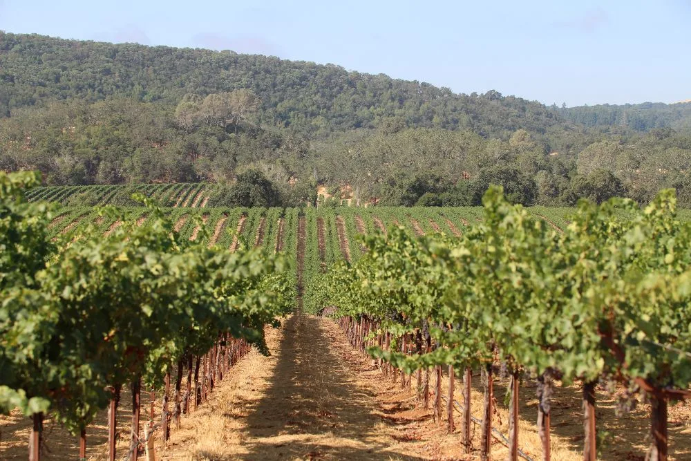 ARS-wine-canada-071428.jpg