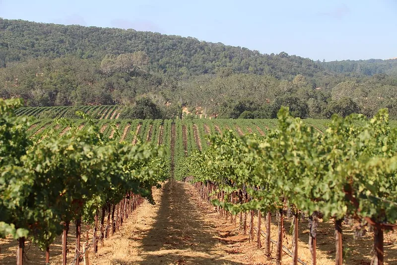 ARS-wine-canada-071428.jpg