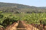 ARS-wine-canada-071428.jpg