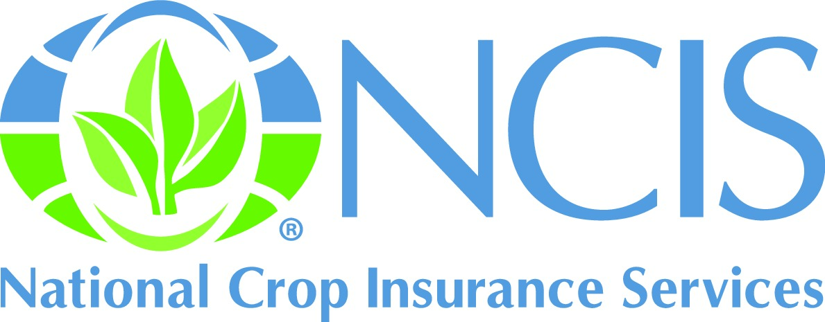 NCIS logo