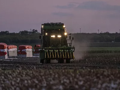 USDA_CottonHarvestAtSunset