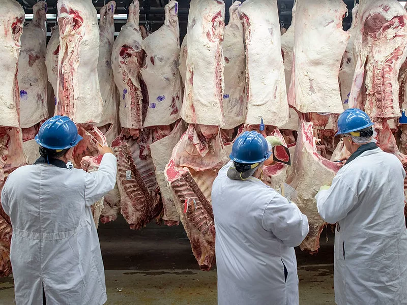 USDA_beef_inspection.jpg