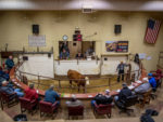 cattle_auction.jpg