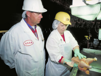 USDA Poultry Inspection