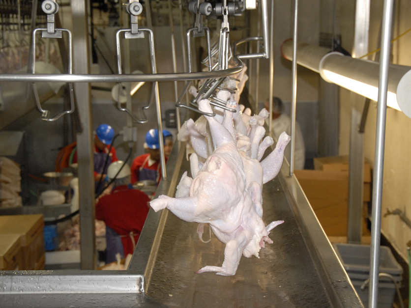 Poultry processing