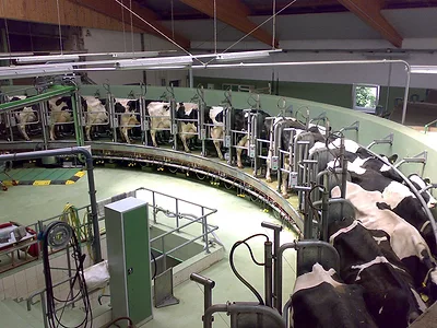 Robotic milker