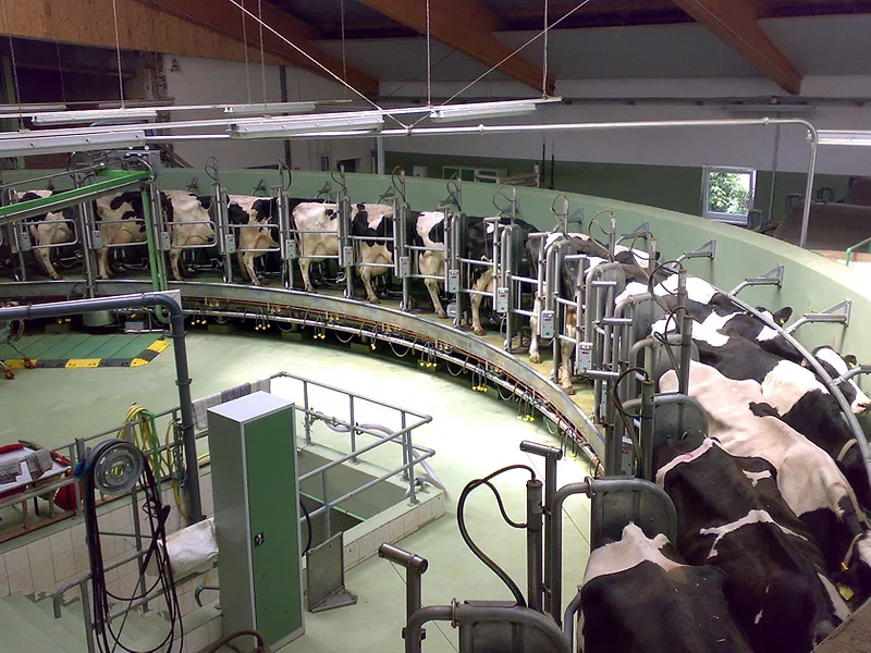 Robotic milker