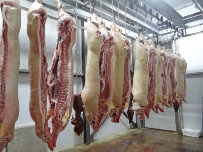 Swine slaughter facility