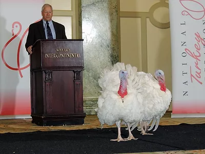 National Thanksgiving Turkeys