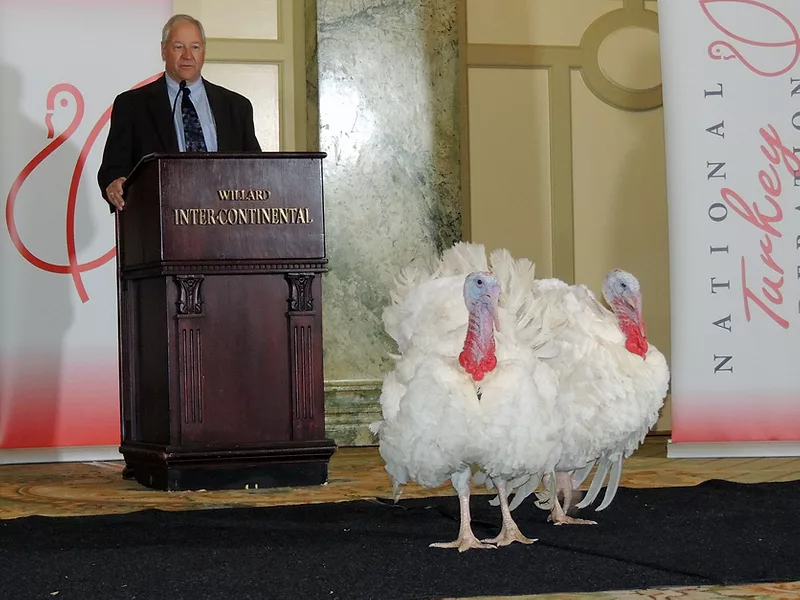 National Thanksgiving Turkeys