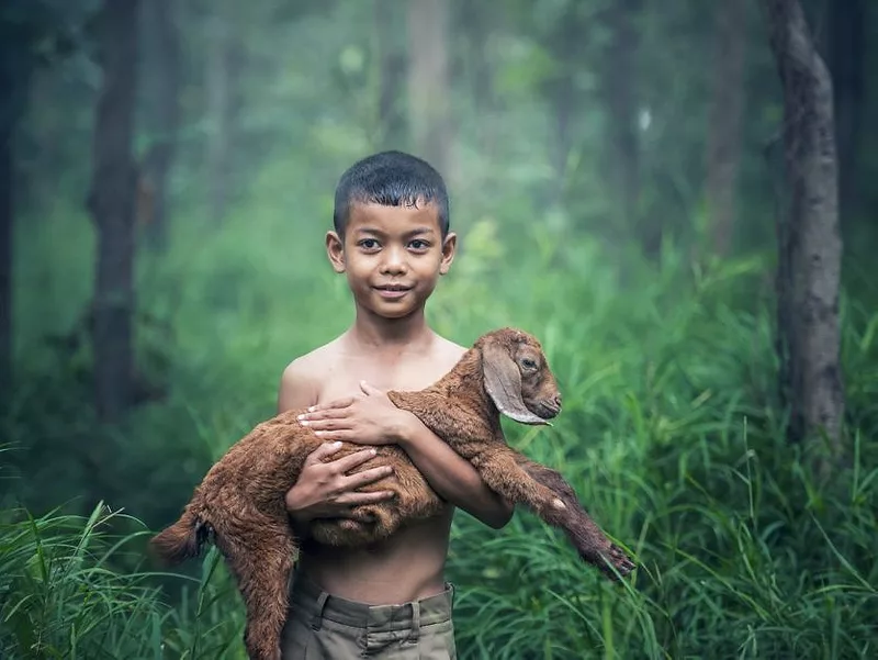 Lad with cow