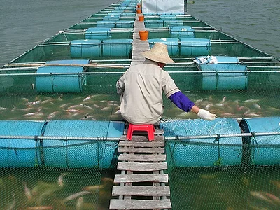 Aquaculture