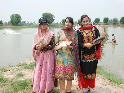 womenfish