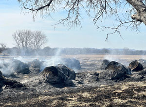 AP_Feb_24_Texas_Wildfires.jpg