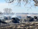 AP_Feb_24_Texas_Wildfires.jpg