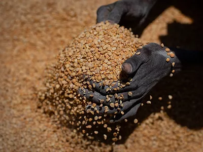 AP_Jan_24_split_peas_Ethiopiafood_aid.jpg
