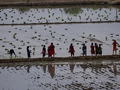 India-farmers.jpg