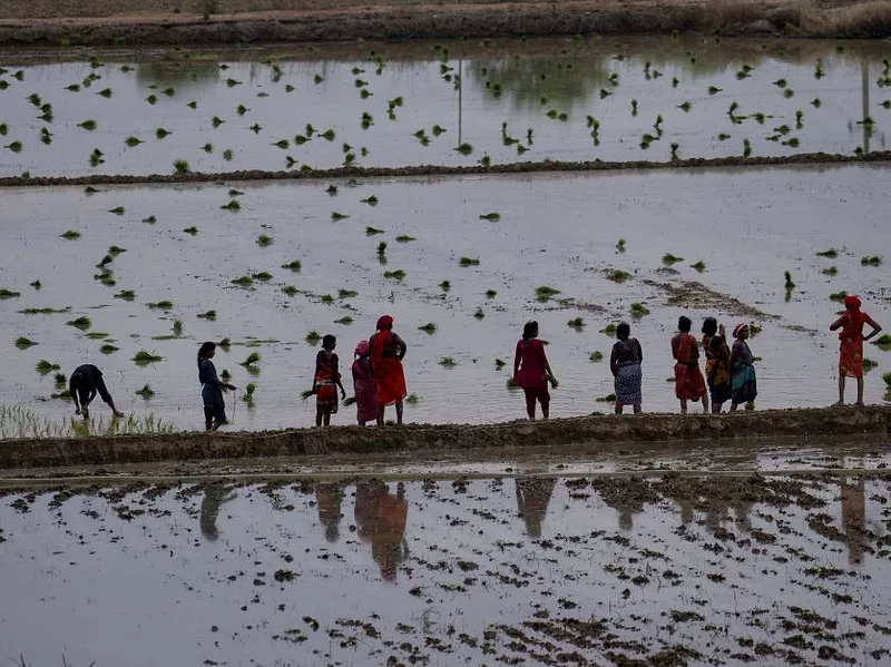India-farmers.jpg