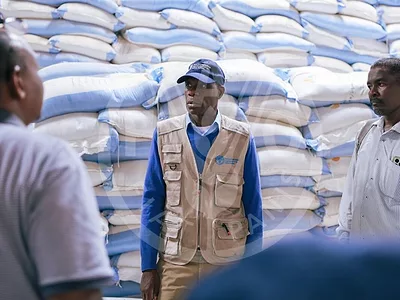 FAO-seeds-darfur-FAO-photo.jpg