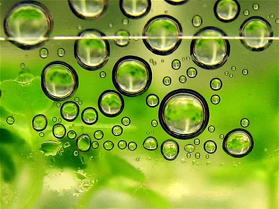 bioenergy