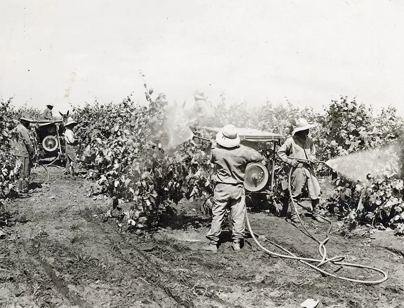 Pesticide spraying in 1920