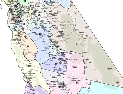 Assembly redistricting map