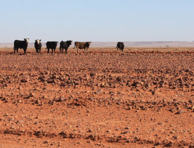Australian drought