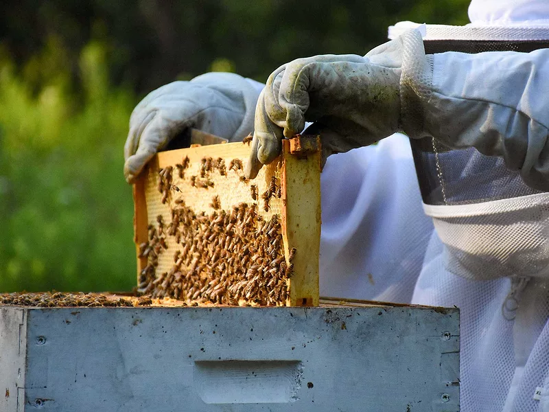 Bee keeper box