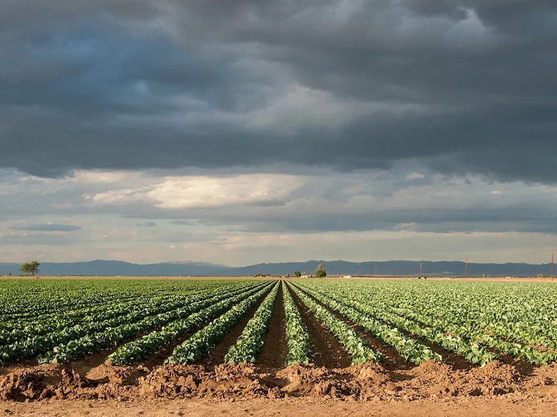 CA farm storm clouds DWR
