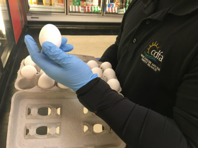 CDFA egg inspector