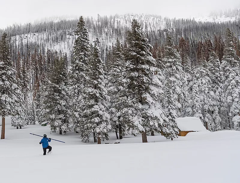 DWR snow survey