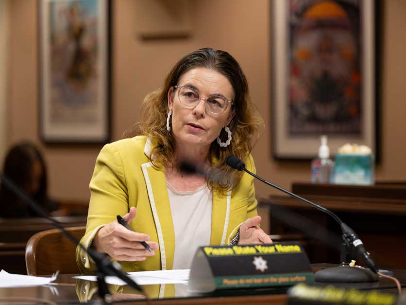 Dawn Addis in committee
