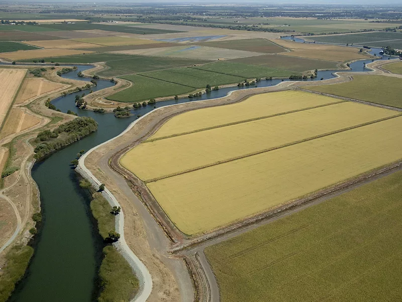Delta farms